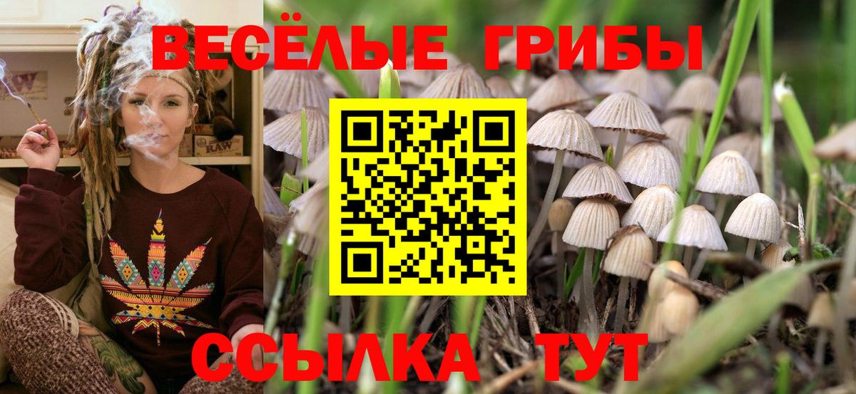 Нальчик  Галлюциногенные грибы ЛСД  Вход с VPN  Псилоцибиновые грибы ЛСД 