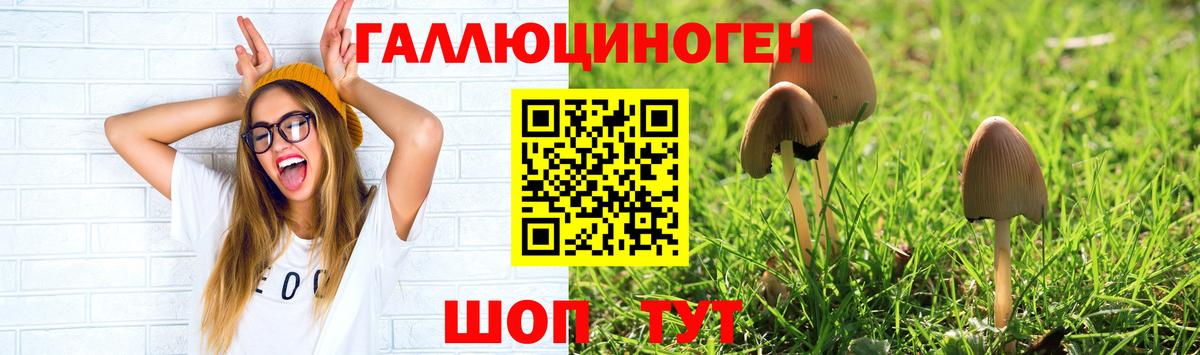 Галлюциногенные грибы прущие грибы Нальчик